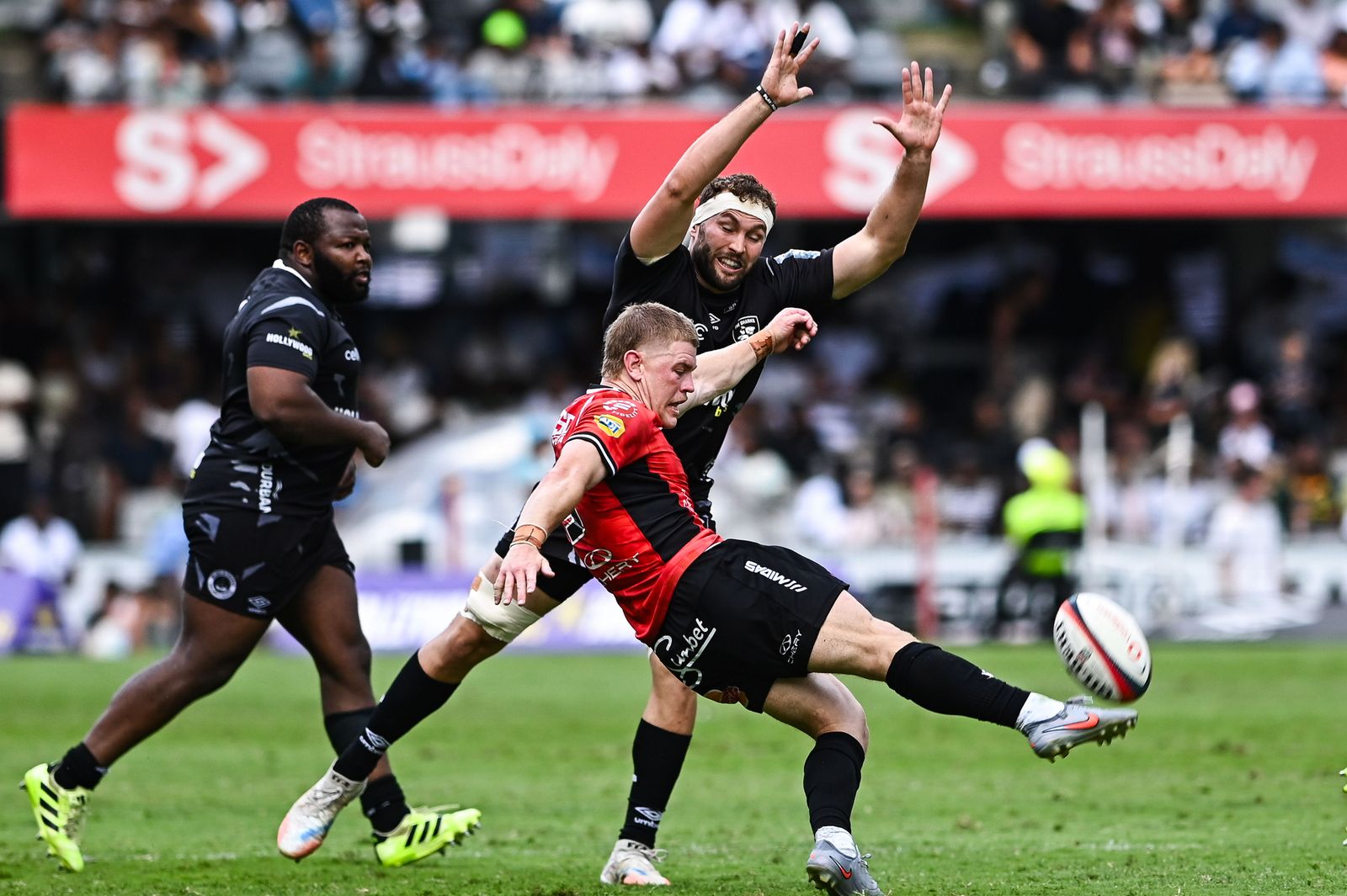 Lions' Morne van den Berg and Hollywoodbets Sharks' Nick Hatton