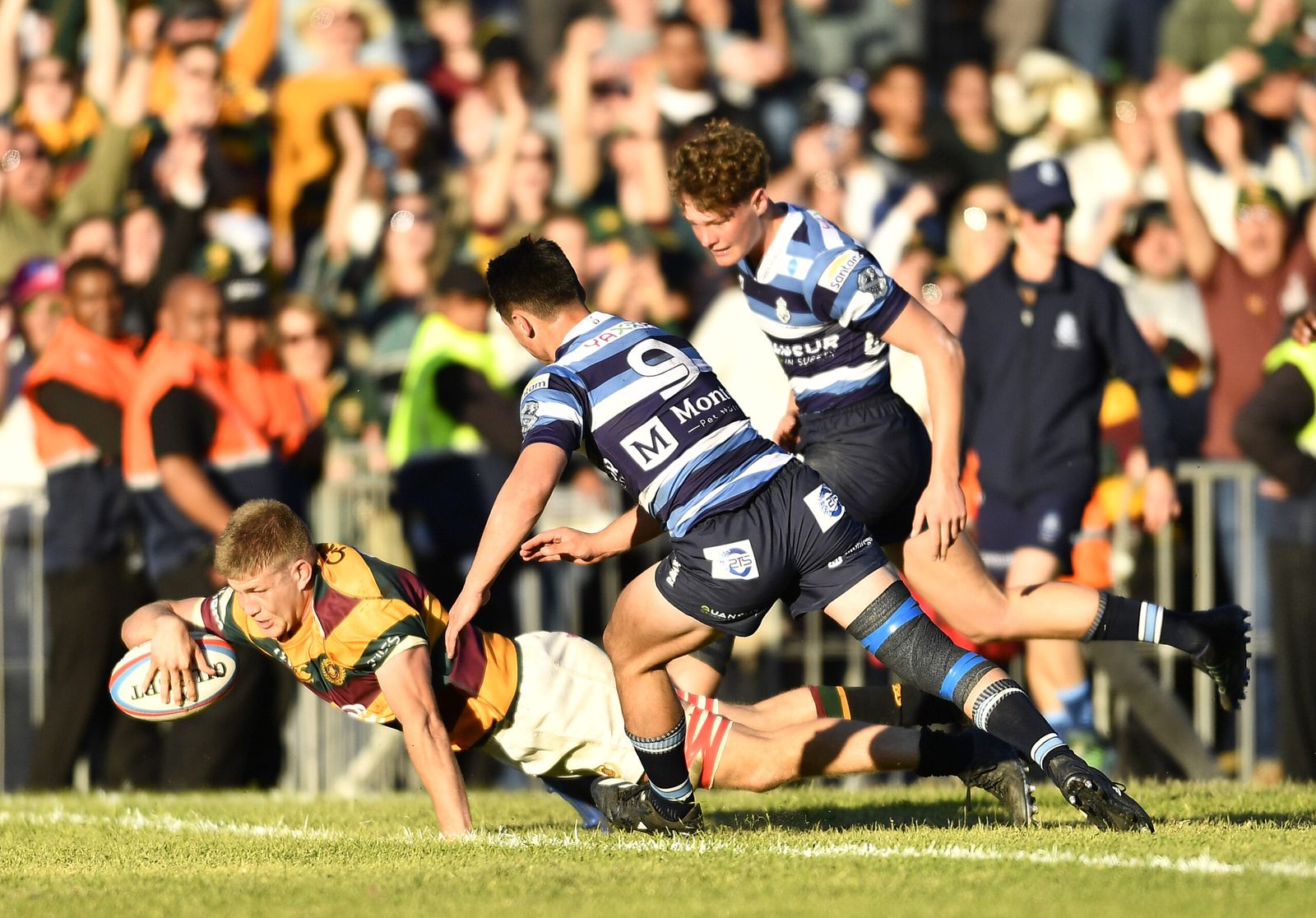 Schools rugby in Gauteng: the pipeline that feeds the union.